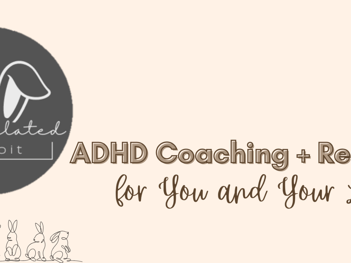 The Regulated Rabbit is&nbsp;LIVE